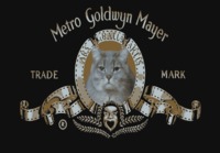 Metro Goldwyn Meyer