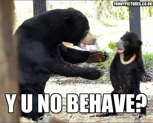 Y U NO BEAR