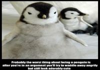 Worst thing about bein g a penguin
