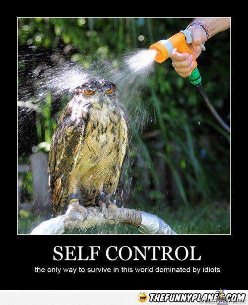 Self control level: Master - Joskus pinna vain venyy käsittämättömiin mittoihin