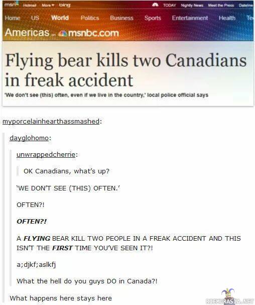 Flying bear incident - Mikä tapahtuu Kanadassa, jää Kanadaan.