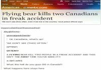 Flying bear incident