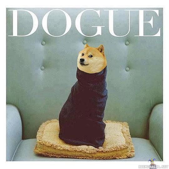 Dogue - wow so vogue