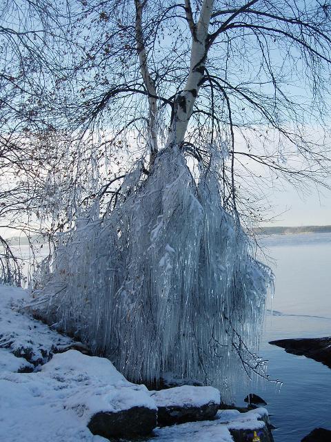 Pikku puikko - talvi -06