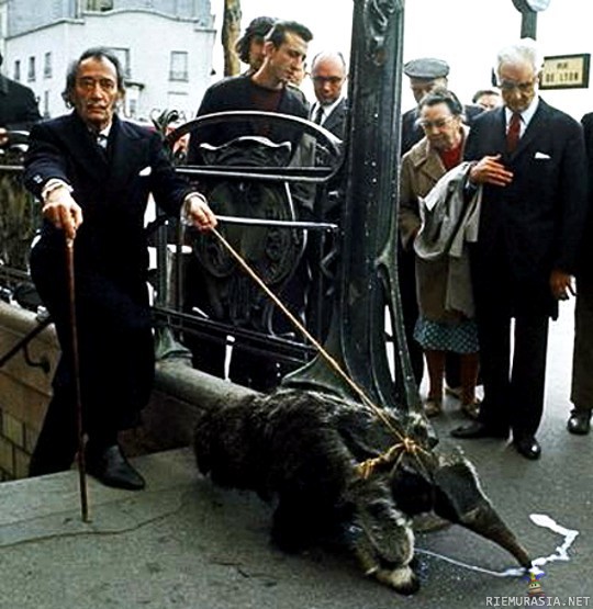 Salvador Dali - Dali kävelyttää muurahaiskarhuaan