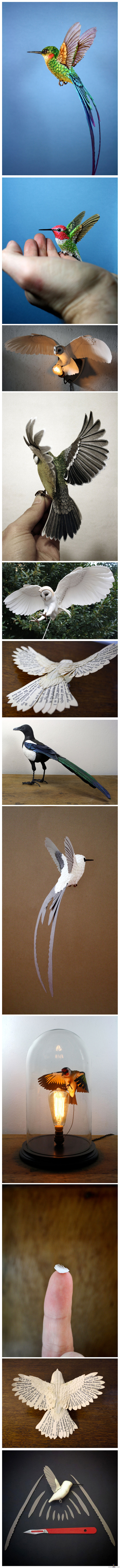Paperista ja puusta tehtyjä lintuja - Kokoelma paperista ja puusta tehtyjä lintuja, hienon näköisiä!