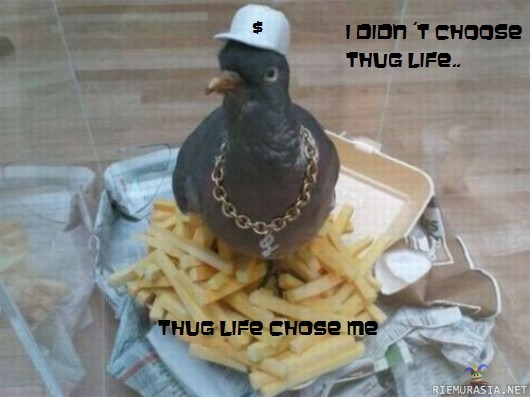 I didn´t choose thug life... - Thug life chose me