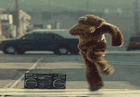 karhu tanssimassa