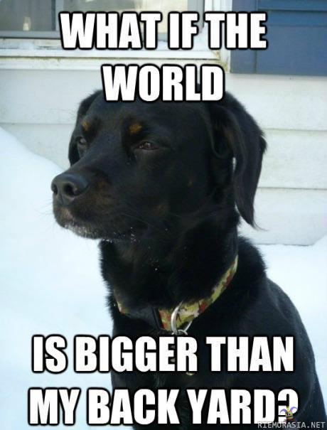Maailma koiran silmin - Jos takapiha on maailma, mitä onkaan tähtien tuolla puolen?