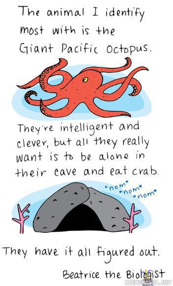 Minäkin haluan olla mustekala - Mustekalojen yksinkertaisen hieno elämä, asuu päivät pitkät kolossa ja mutustelee rapuja
