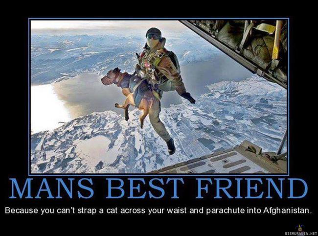 Ihmisen paras ystävä - USA:n erikoisjoukot harjoittelevat laskuvarjohyppyjä koirien kanssa. Jos hyppy tapahtuu veteen, koira tekee soolohypyn.

