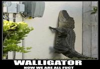 Walligator