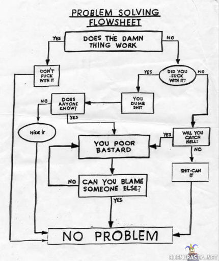 Problem solving flowsheet