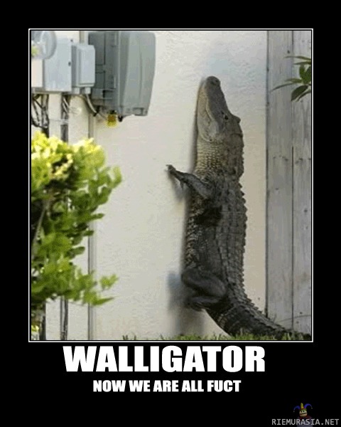 Walligator