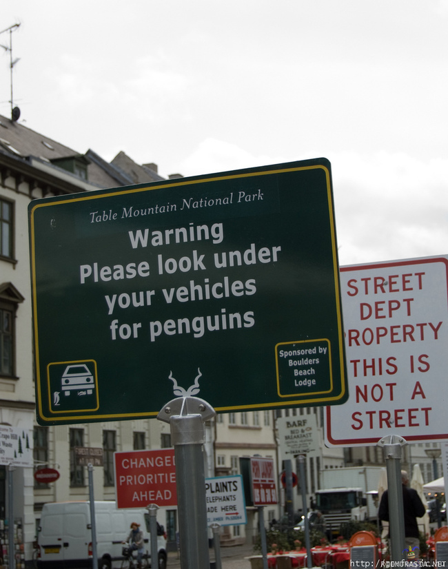 varoitus - pingviineistä