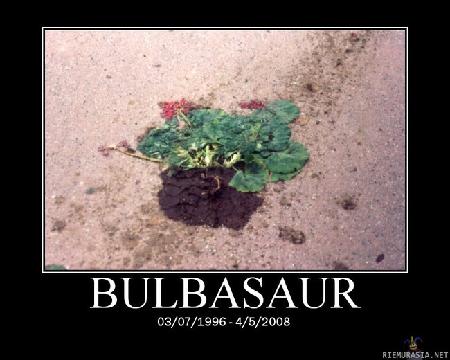 Bulbasaur