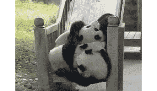 Pandoja - Pandoja kaikkialla