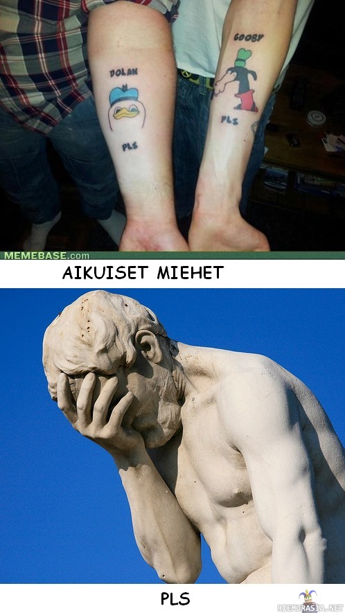 aikuiset miehet, pls