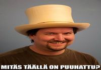 Puuhattu