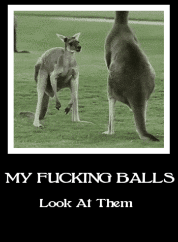 Look at my balls - Katsele minun pallojani