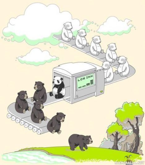 Pandat - Miten pandat oikeasti syntyvät