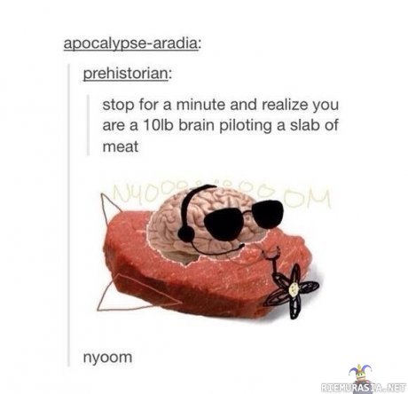 Mitä aivot tekevät