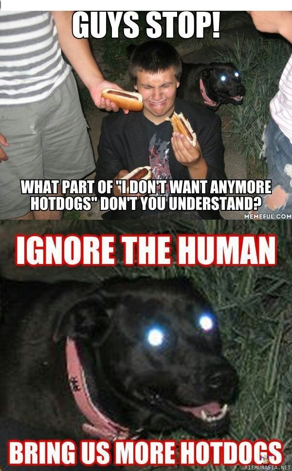 Ignore the human