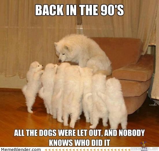 Back in the 90`s