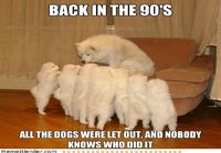 Back in the 90`s