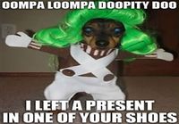 Umppa Lumppa