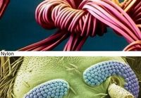 Mikroskooppisia kuvia