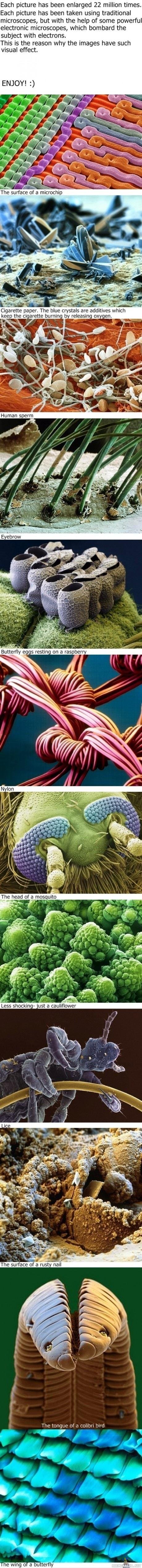 Mikroskooppisia kuvia - Awesome