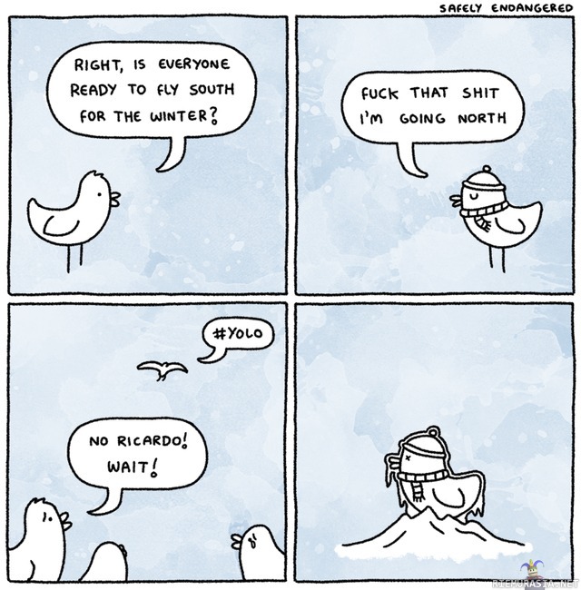 Hölmö lintu