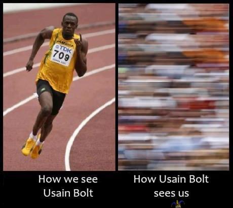 Bolt