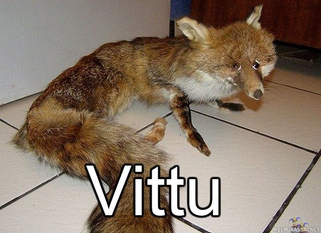 What does the fox say? - Vit*u