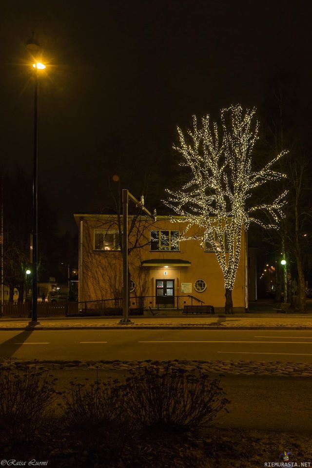 Järvenpää naulasi sen - Tässä pitää tietää https://www.riemurasia.net/kuva/Christmas-tree/154078