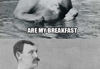 Overly Manly Man's Dog