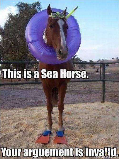 Sea horse - Nothing to say...