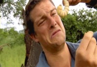 Bear Grylls