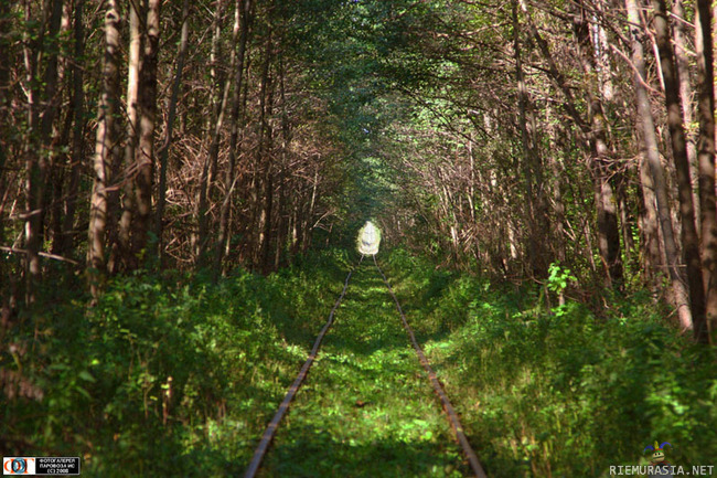 Venäjältä.