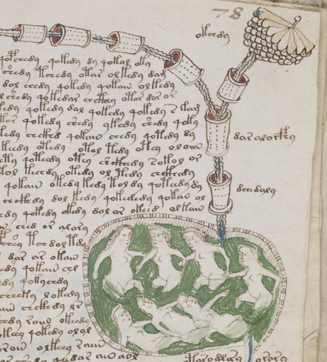 Voynich manuscript - Sivu kirjasta mitä kukaan ei ole viellä pystynyt lukemaan.