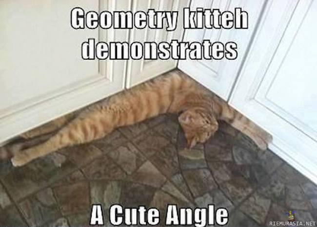 Geometriakissa - Tässä pitää tietää että acute angle = suora kulma