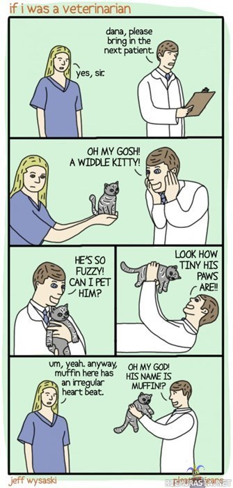Jos olisin eläinlääkäri