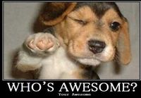 Who\\\'s Awesome?
