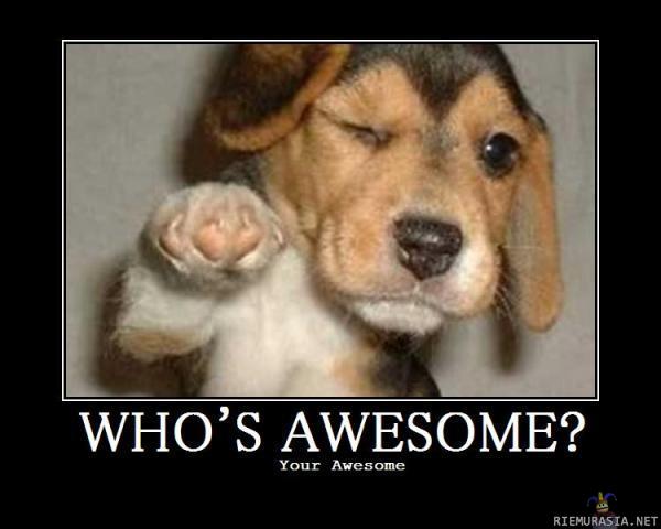 Who&#039;s Awesome?