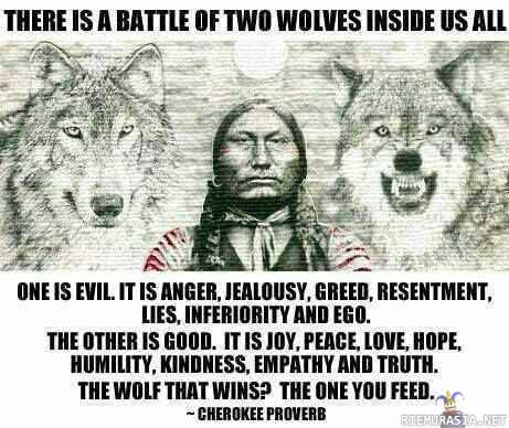 Two wolves