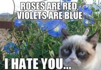 Roses are red...