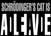Schrödingerin kissa