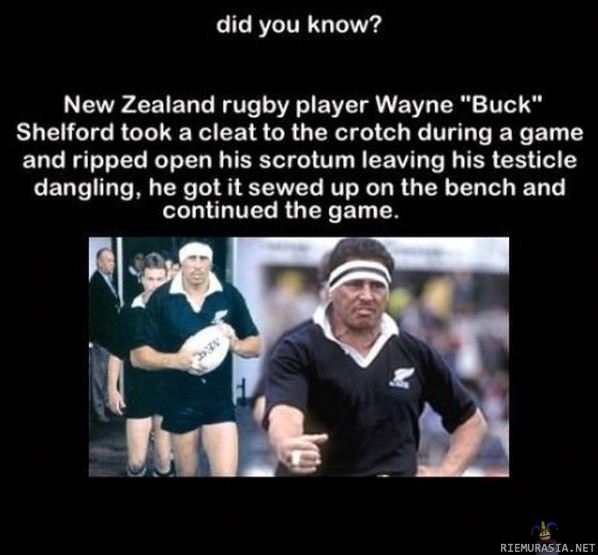 Rugby on tosimiesten laji
