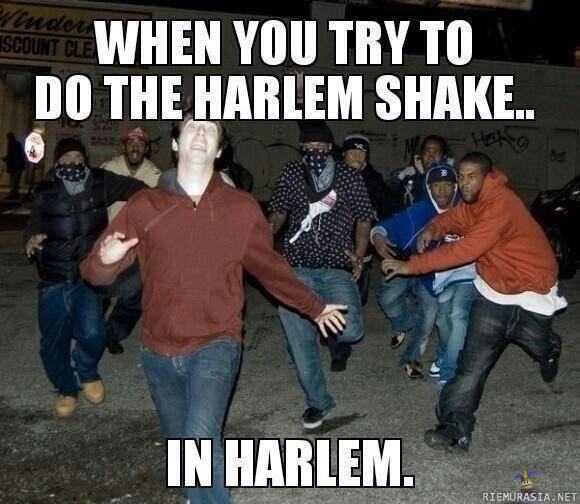 Harlem Shake - in harlem